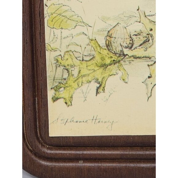 Vintage Stephanie Harney Squirrel Art On Wooden‎ Plaque - Picture 2 of 9